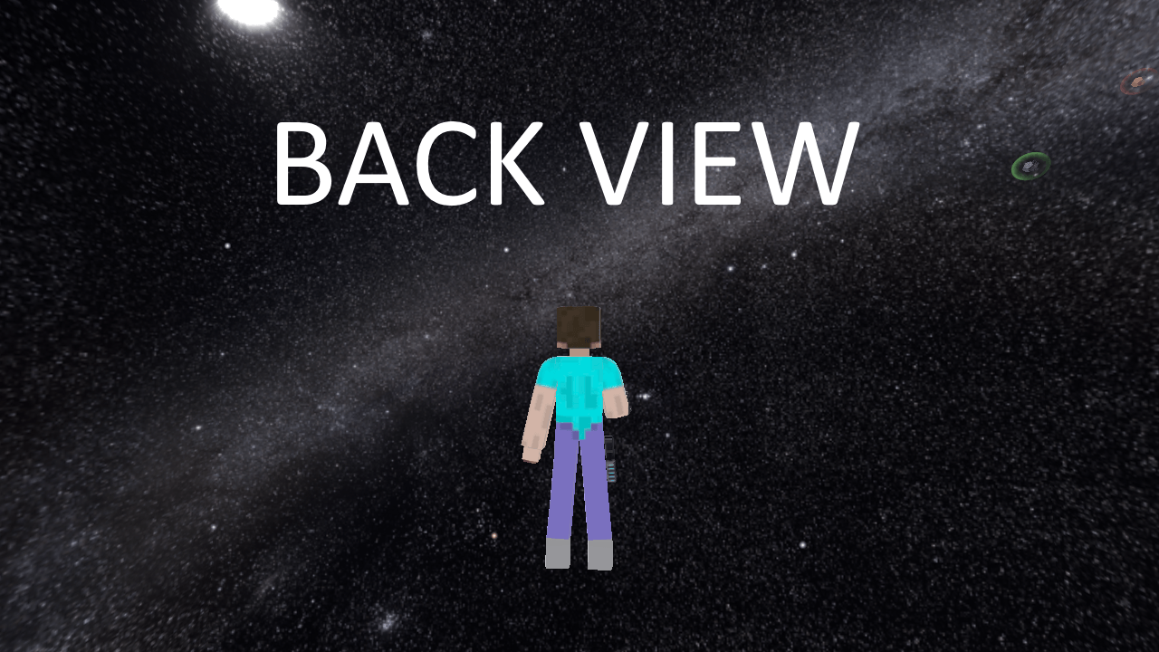 STEVE BACK VIEW.png