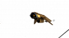 starmade-screenshot-0008.png