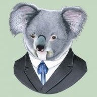 Perturbed Koala